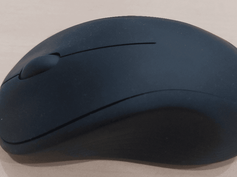 Mouse